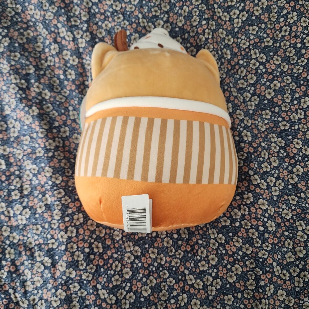 NWT Pumpkin Spice Latte Cat Squishmallow - Picture 2 of 2